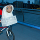 Image for article titled 15 of World's Best Urban Bike Infrastructures